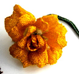 petersenbigflower petersenbigflower