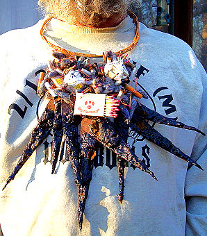 ugly7brownwear ugly7brownwear