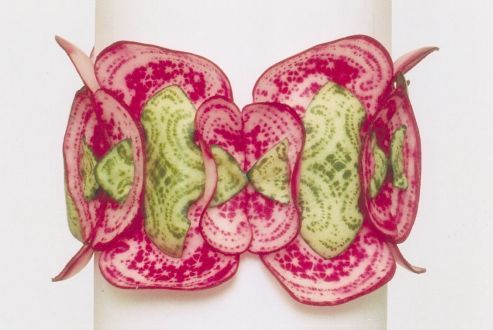 gallery052009ulrikehamm1 gallery052009ulrikehamm1